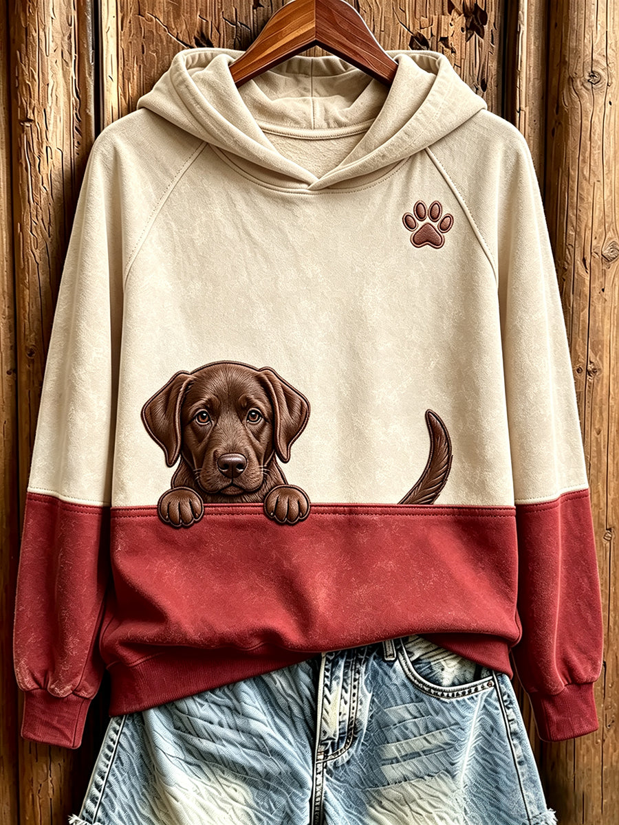 Women's Peeking Chocolate Labrador Retriever & Paw Print Contrast Color Cozy Sweatshirt