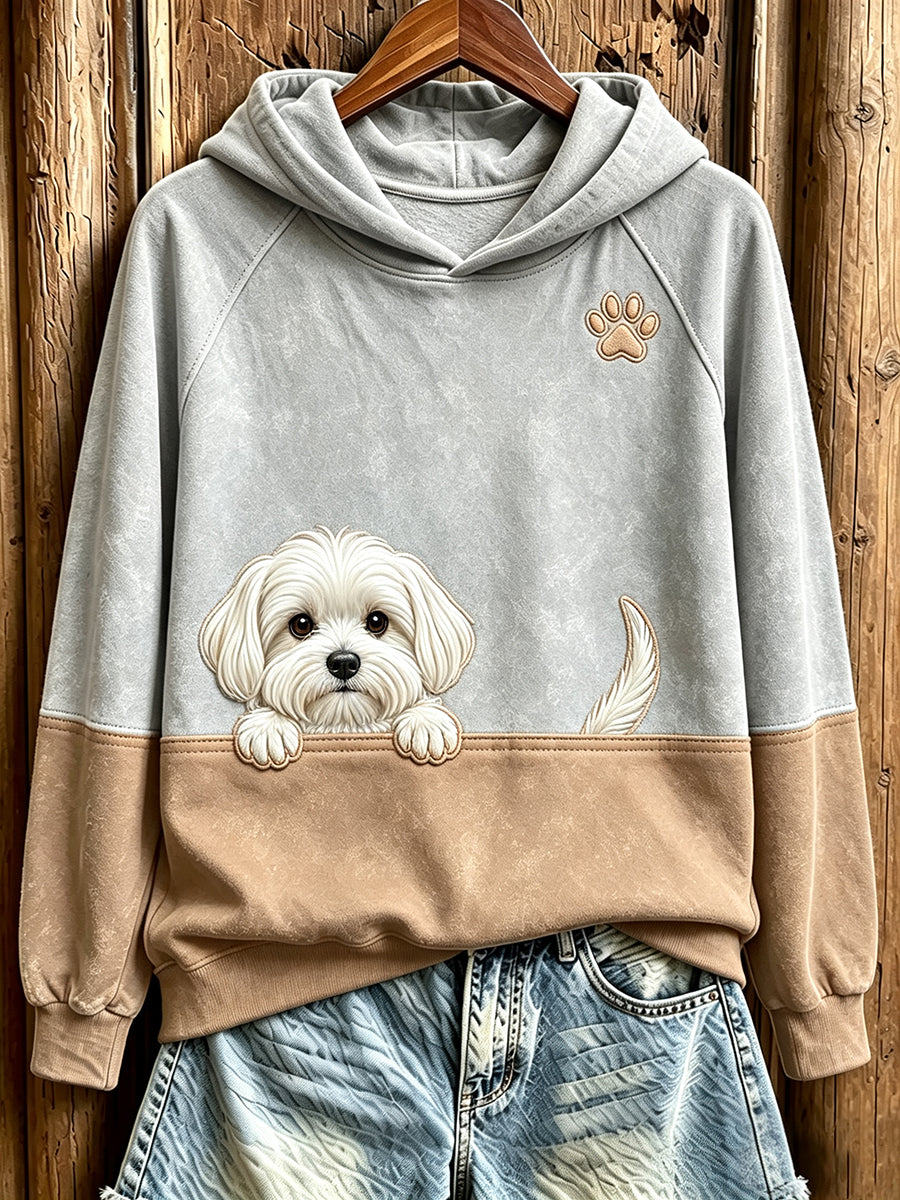 Women's Peeking Maltese Dog & Paw Print Contrast Color Cozy Sweatshirt
