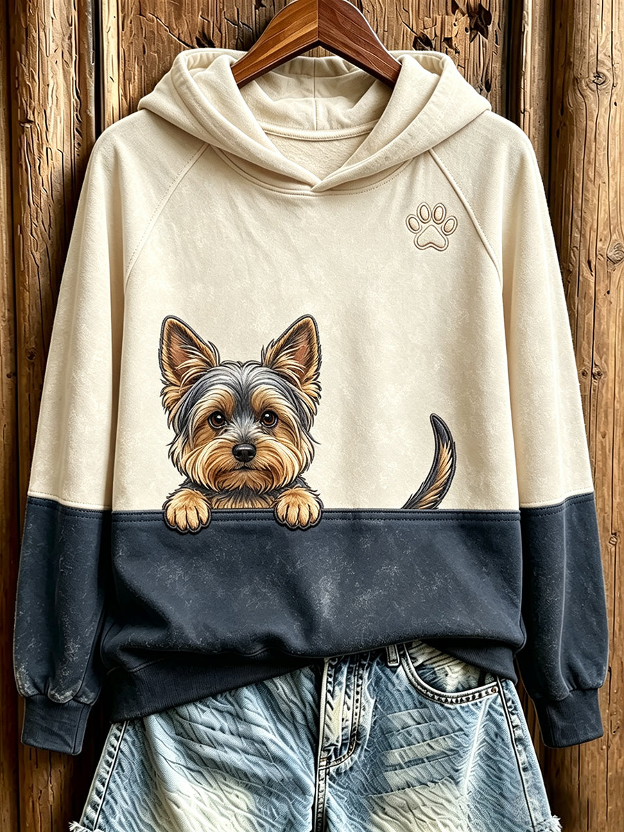 Women's Peeking Yorkshire Terrier & Paw Print Contrast Color Cozy Sweatshirt