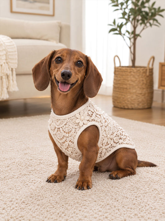 Floral Lace Print Dog Vests