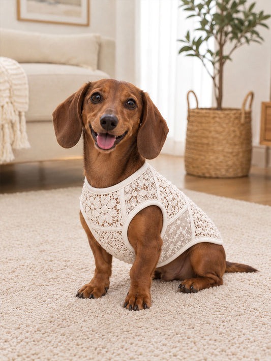 Floral Lace Print Dog Vests